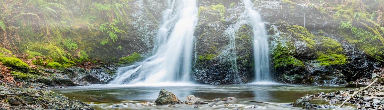 qigong_nature_3