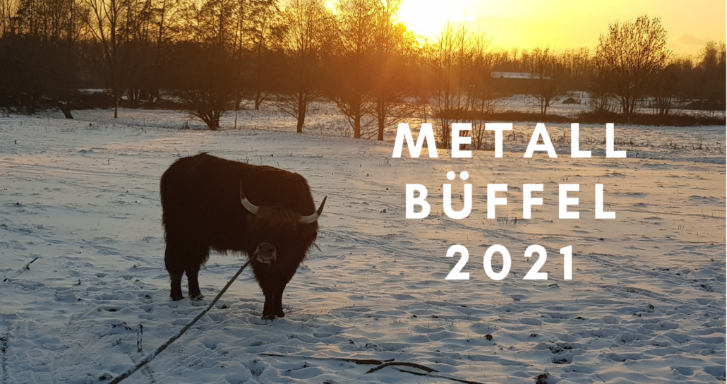 Metall Büffel