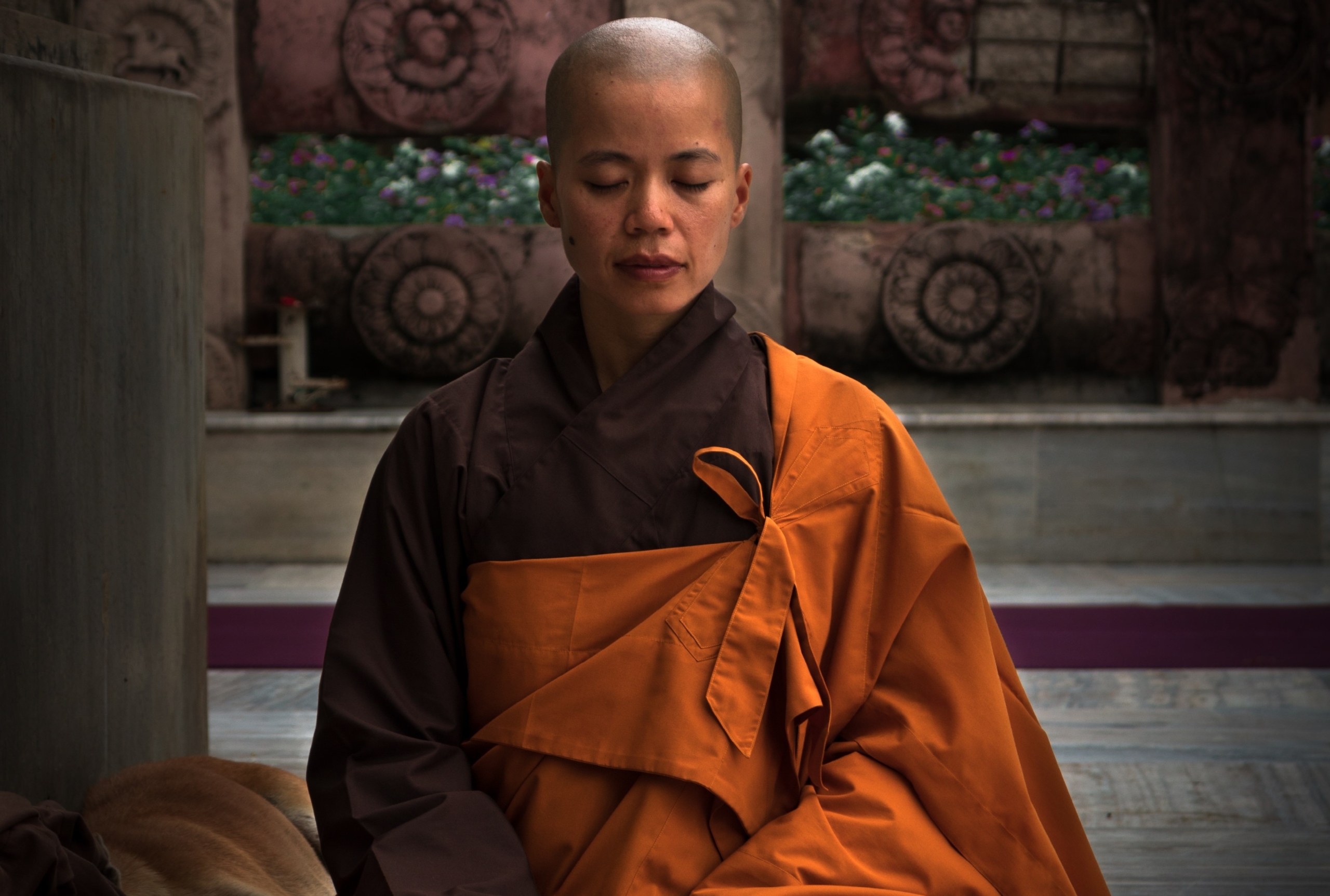 Meditationa (2)