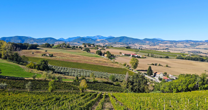 Blick-auf-Arcevia-webo