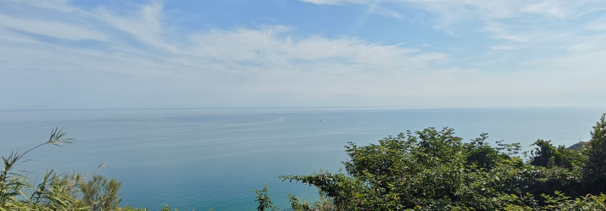 Meerblick-webo